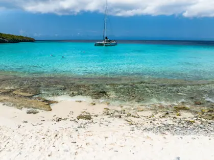 Blue_Finn_West_Coast_5